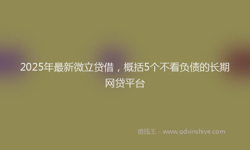 2025年最新微立贷借，概括5个不看负债的长期网贷平台