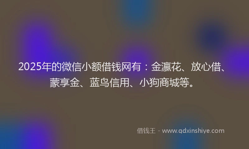 2025年的微信小额借钱网有：金瀛花、放心借、蒙享金、蓝鸟信用、小狗商城等。