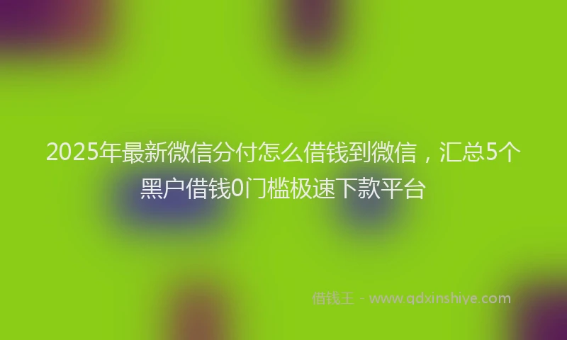 2025年最新微信分付怎么借钱到微信，汇总5个黑户借钱0门槛极速下款平台