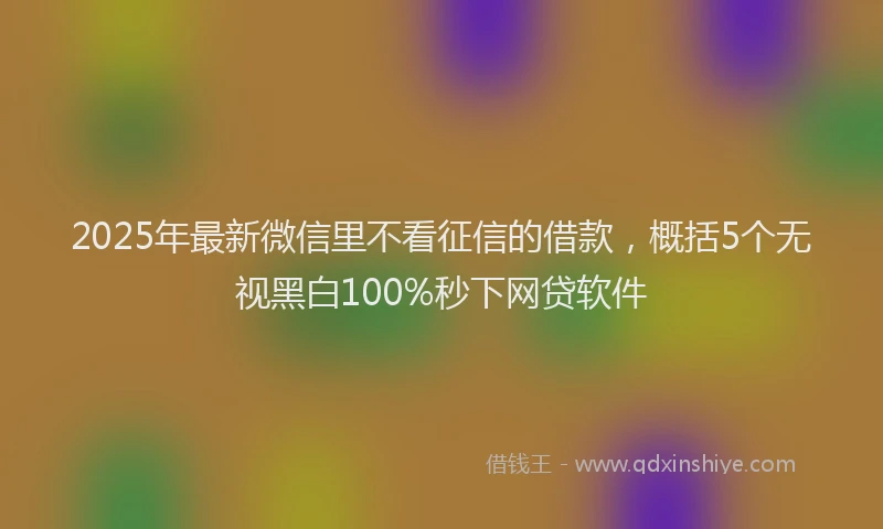 2025年最新微信里不看征信的借款，概括5个无视黑白100%秒下网贷软件