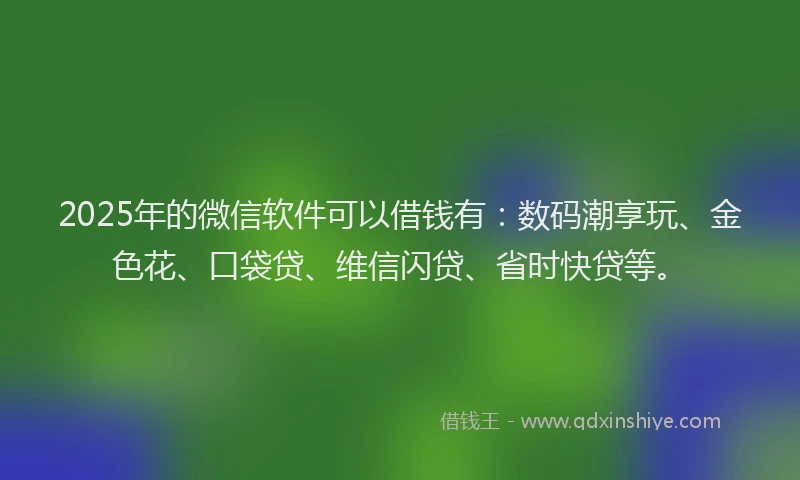 2025年的微信软件可以借钱有：数码潮享玩、金色花、口袋贷、维信闪贷、省时快贷等。