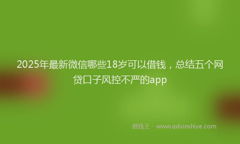2025年最新微信哪些18岁可以借钱，总结五个网贷口子风控不严的app