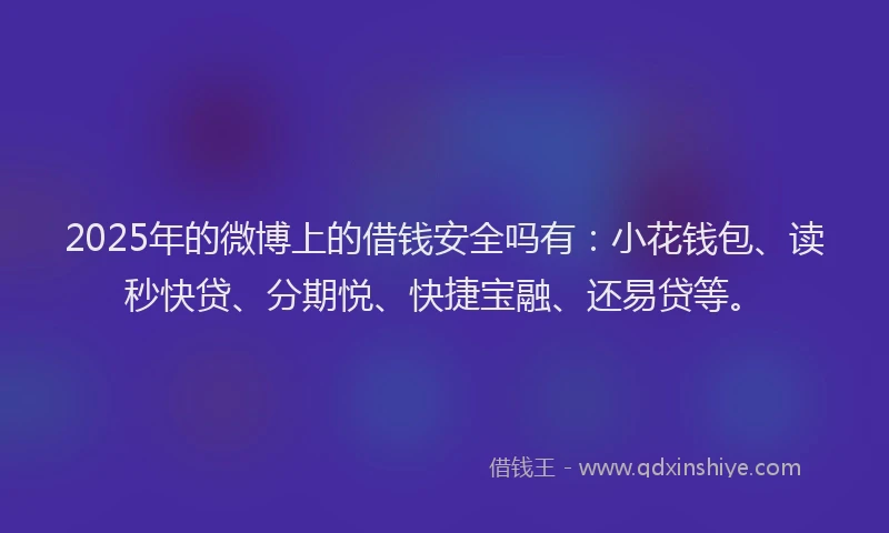 2025年的微博上的借钱安全吗有：小花钱包、读秒快贷、分期悦、快捷宝融、还易贷等。