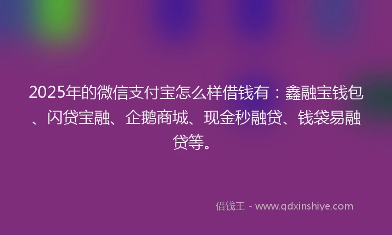 2025年的微信支付宝怎么样借钱有：鑫融宝钱包、闪贷宝融、企鹅商城、现金秒融贷、钱袋易融贷等。