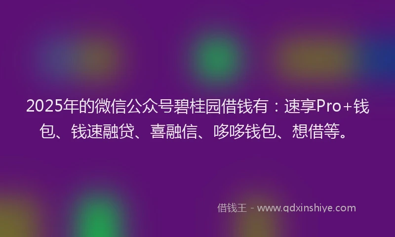 2025年的微信公众号碧桂园借钱有：速享Pro+钱包、钱速融贷、喜融信、哆哆钱包、想借等。