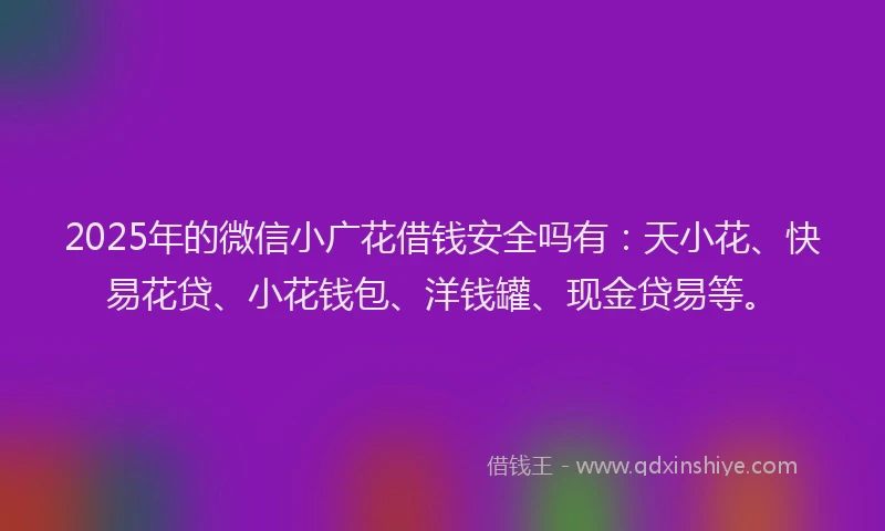 2025年的微信小广花借钱安全吗有：天小花、快易花贷、小花钱包、洋钱罐、现金贷易等。