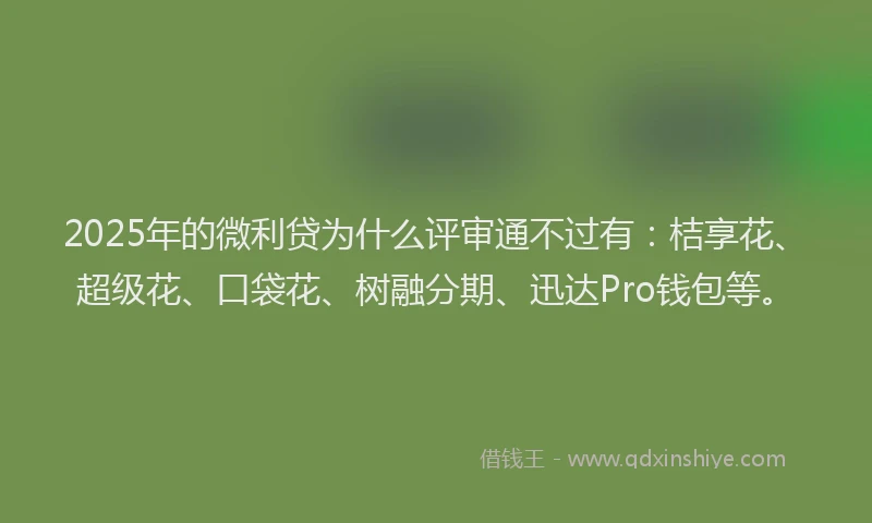 2025年的微利贷为什么评审通不过有：桔享花、超级花、口袋花、树融分期、迅达Pro钱包等。