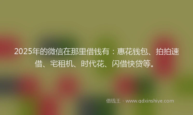 2025年的微信在那里借钱有：惠花钱包、拍拍速借、宅租机、时代花、闪借快贷等。