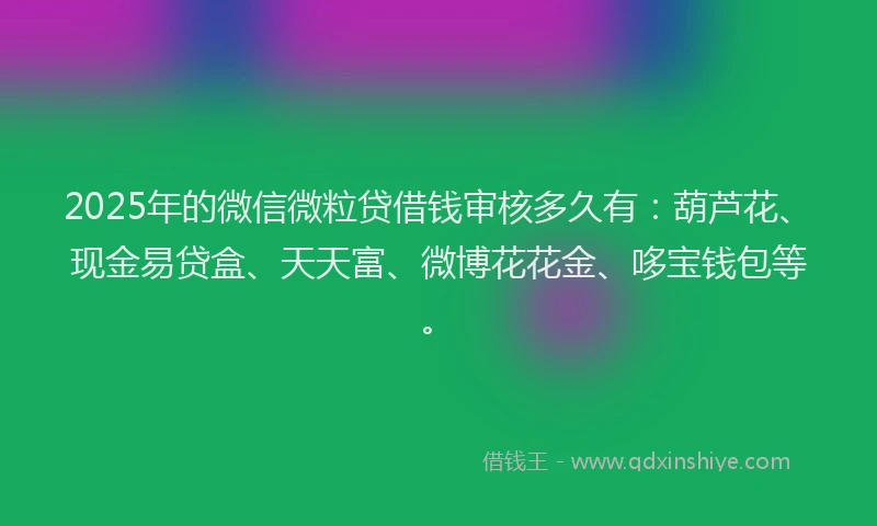 2025年的微信微粒贷借钱审核多久有：葫芦花、现金易贷盒、天天富、微博花花金、哆宝钱包等。