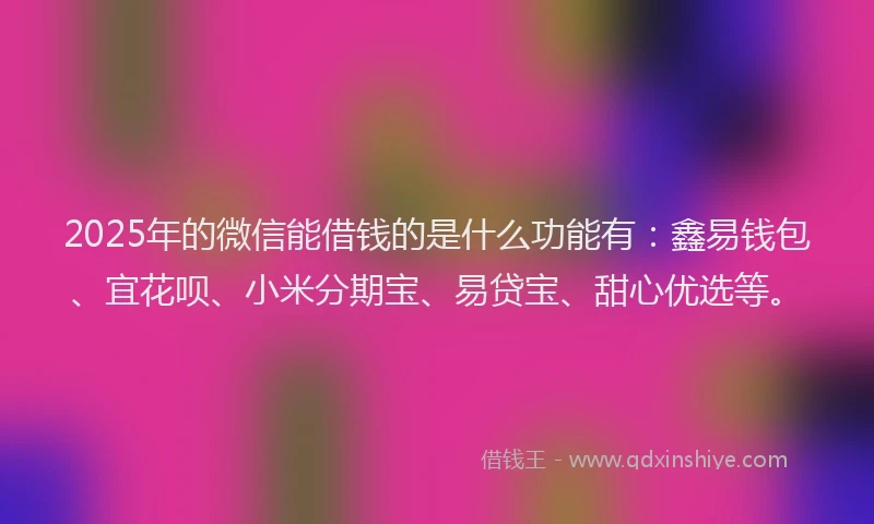 2025年的微信能借钱的是什么功能有：鑫易钱包、宜花呗、小米分期宝、易贷宝、甜心优选等。
