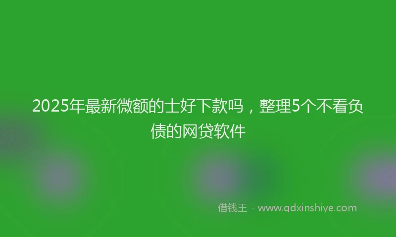 2025年最新微额的士好下款吗，整理5个不看负债的网贷软件