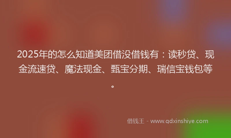 2025年的怎么知道美团借没借钱有：读秒贷、现金流速贷、魔法现金、甄宝分期、瑞信宝钱包等。