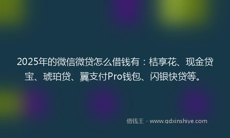 2025年的微信微贷怎么借钱有：桔享花、现金贷宝、琥珀贷、翼支付Pro钱包、闪银快贷等。