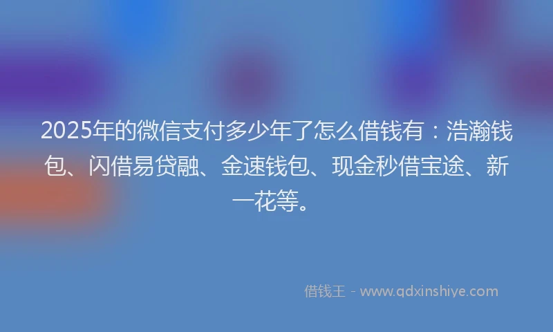 2025年的微信支付多少年了怎么借钱有：浩瀚钱包、闪借易贷融、金速钱包、现金秒借宝途、新一花等。