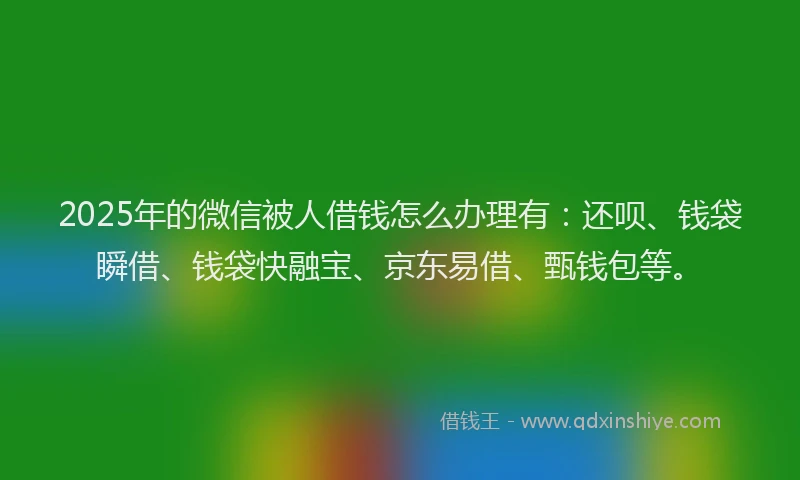 2025年的微信被人借钱怎么办理有：还呗、钱袋瞬借、钱袋快融宝、京东易借、甄钱包等。