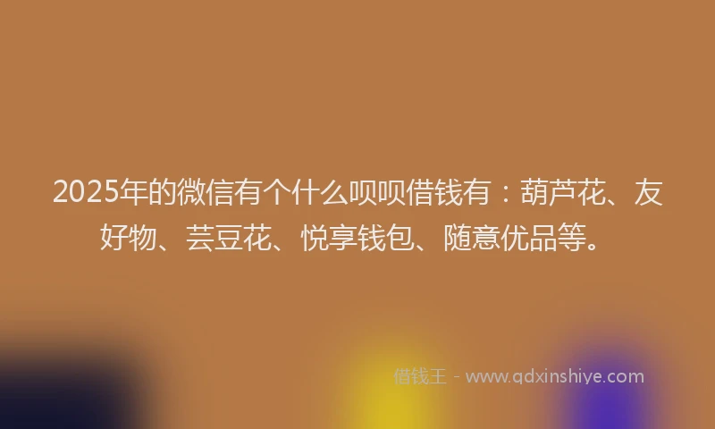 2025年的微信有个什么呗呗借钱有：葫芦花、友好物、芸豆花、悦享钱包、随意优品等。