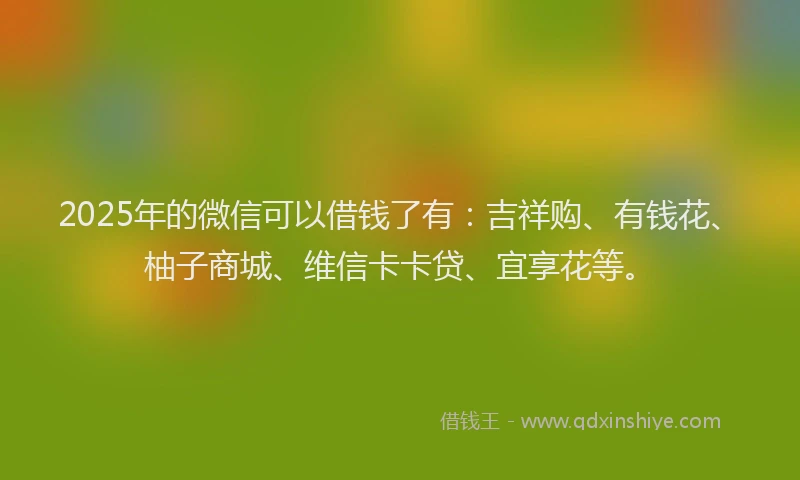 2025年的微信可以借钱了有：吉祥购、有钱花、柚子商城、维信卡卡贷、宜享花等。