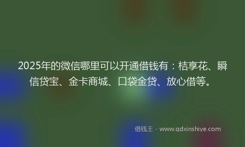 2025年的微信哪里可以开通借钱有：桔享花、瞬信贷宝、金卡商城、口袋金贷、放心借等。