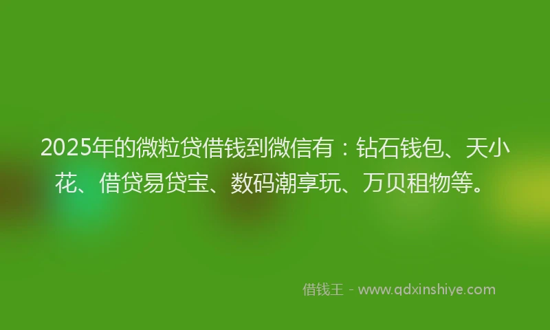 2025年的微粒贷借钱到微信有：钻石钱包、天小花、借贷易贷宝、数码潮享玩、万贝租物等。