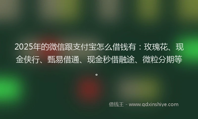 2025年的微信跟支付宝怎么借钱有：玫瑰花、现金侠行、甄易借通、现金秒借融途、微粒分期等。
