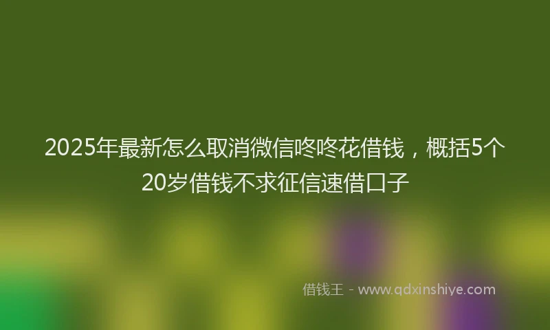 2025年最新怎么取消微信咚咚花借钱，概括5个20岁借钱不求征信速借口子