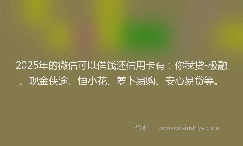 2025年的微信可以借钱还信用卡有：你我贷-极融、现金侠途、恒小花、萝卜易购、安心易贷等。