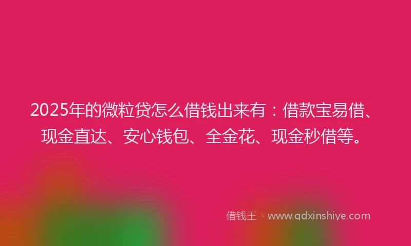2025年的微粒贷怎么借钱出来有：借款宝易借、现金直达、安心钱包、全金花、现金秒借等。