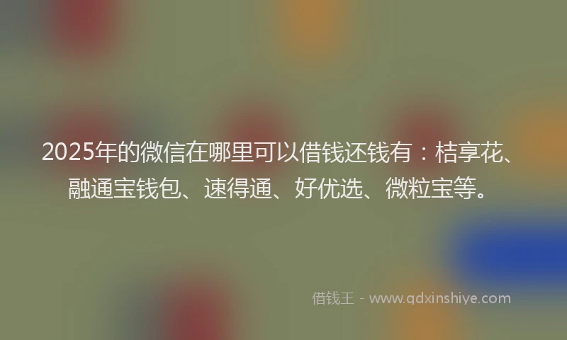 2025年的微信在哪里可以借钱还钱有：桔享花、融通宝钱包、速得通、好优选、微粒宝等。