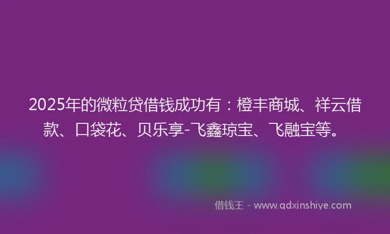 2025年的微粒贷借钱成功有：橙丰商城、祥云借款、口袋花、贝乐享-飞鑫琼宝、飞融宝等。