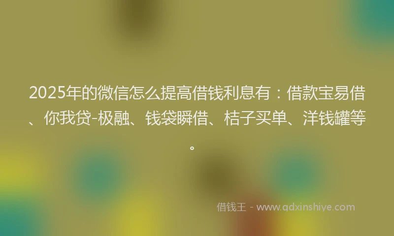 2025年的微信怎么提高借钱利息有:借款宝易借、你我贷-极融、钱袋瞬借、桔子买单、洋钱罐等。