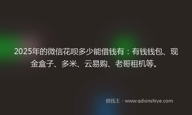 2025年的微信花呗多少能借钱有：有钱钱包、现金盒子、多米、云易购、老哥租机等。