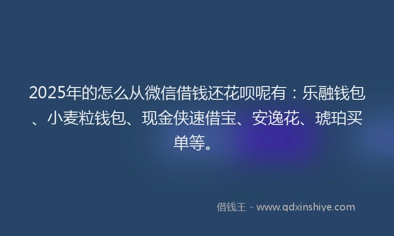 2025年的怎么从微信借钱还花呗呢有：乐融钱包、小麦粒钱包、现金侠速借宝、安逸花、琥珀买单等。