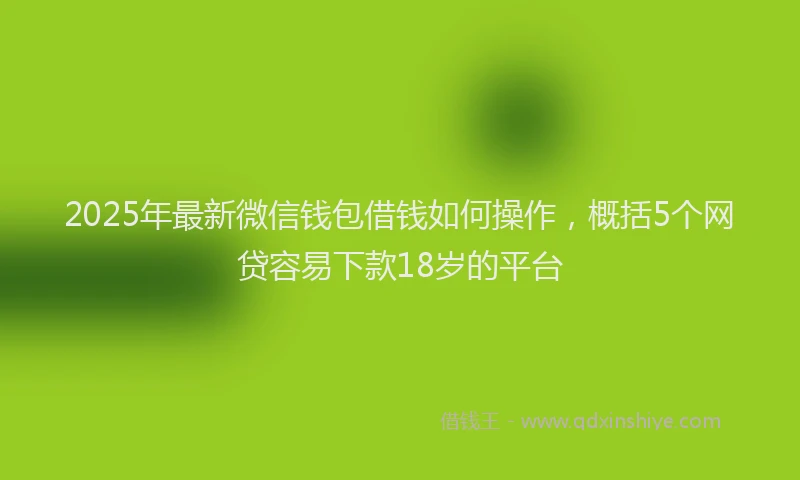 2025年最新微信钱包借钱如何操作，概括5个网贷容易下款18岁的平台