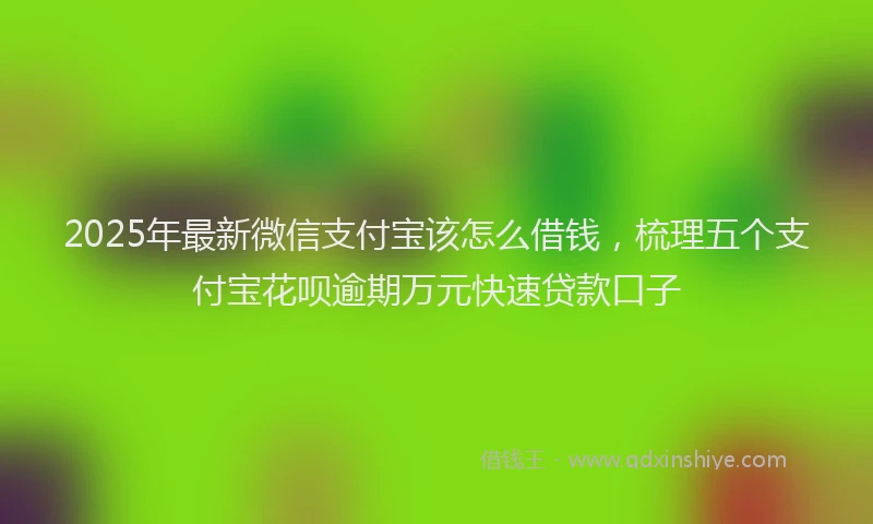 2025年最新微信支付宝该怎么借钱，梳理五个支付宝花呗逾期万元快速贷款口子