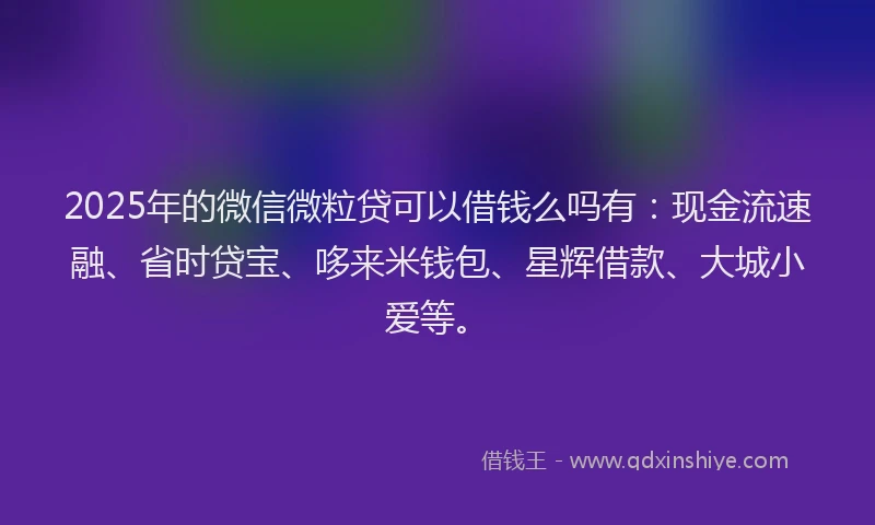 2025年的微信微粒贷可以借钱么吗有：现金流速融、省时贷宝、哆来米钱包、星辉借款、大城小爱等。