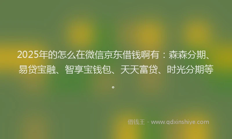 2025年的怎么在微信京东借钱啊有：森森分期、易贷宝融、智享宝钱包、天天富贷、时光分期等。