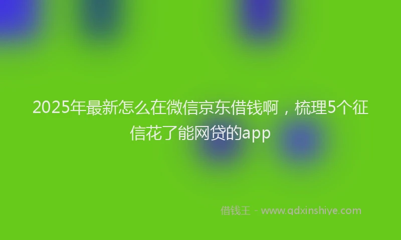 2025年最新怎么在微信京东借钱啊，梳理5个征信花了能网贷的app