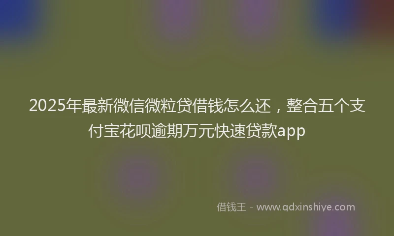 2025年最新微信微粒贷借钱怎么还，整合五个支付宝花呗逾期万元快速贷款app