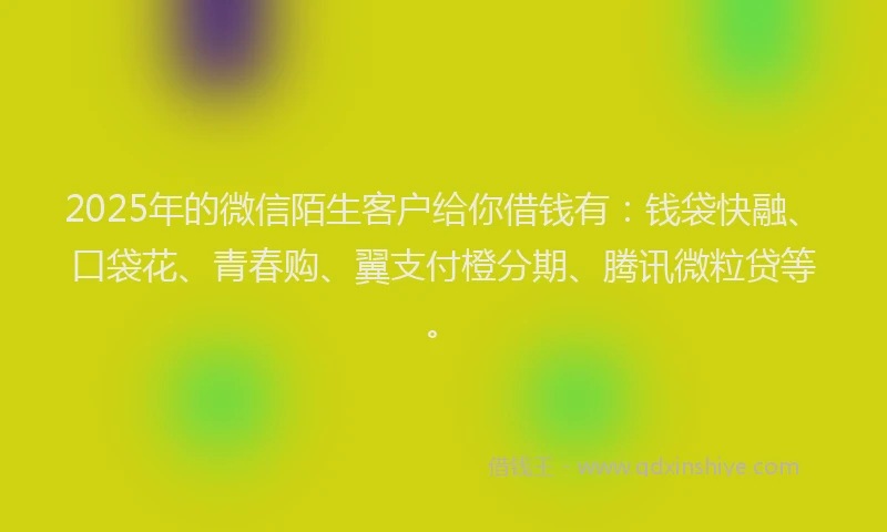 2025年的微信陌生客户给你借钱有：钱袋快融、口袋花、青春购、翼支付橙分期、腾讯微粒贷等。