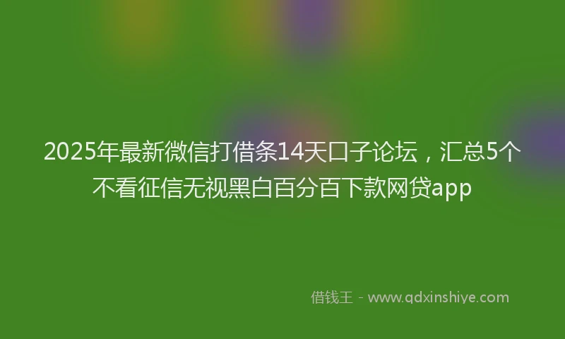 2025年最新微信打借条14天口子论坛，汇总5个不看征信无视黑白百分百下款网贷app