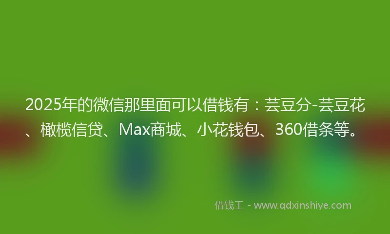 2025年的微信那里面可以借钱有：芸豆分-芸豆花、橄榄信贷、Max商城、小花钱包、360借条等。