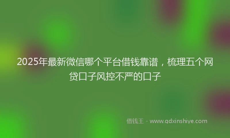 2025年最新微信哪个平台借钱靠谱，梳理五个网贷口子风控不严的口子