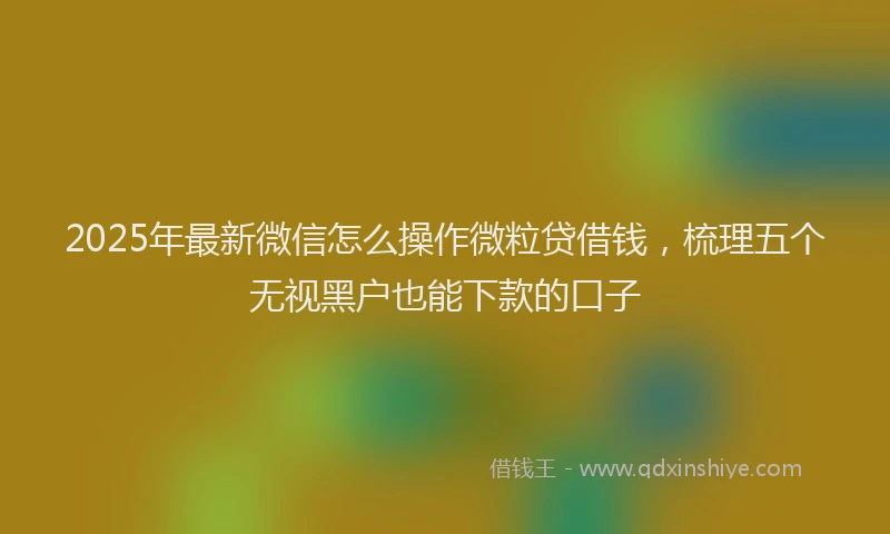 2025年最新微信怎么操作微粒贷借钱，梳理五个无视黑户也能下款的口子