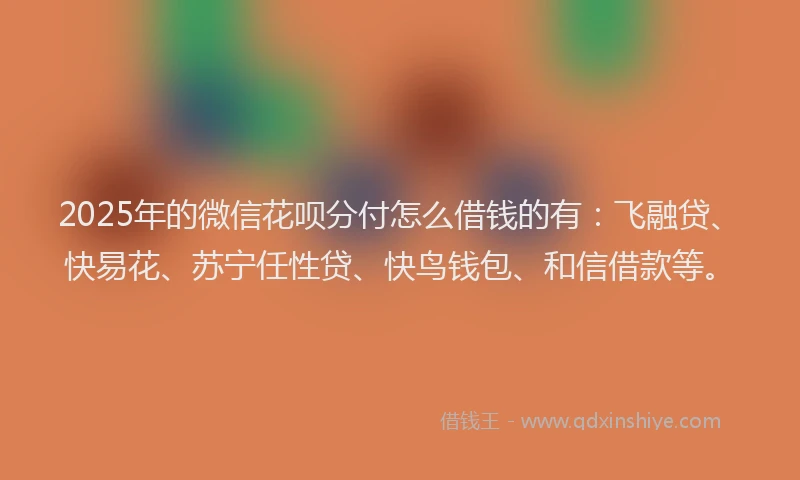 2025年的微信花呗分付怎么借钱的有：飞融贷、快易花、苏宁任性贷、快鸟钱包、和信借款等。
