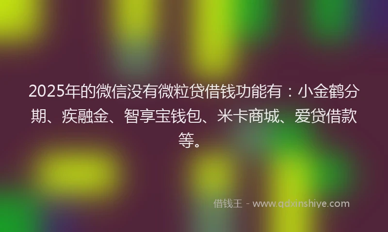 2025年的微信没有微粒贷借钱功能有：小金鹤分期、疾融金、智享宝钱包、米卡商城、爱贷借款等。