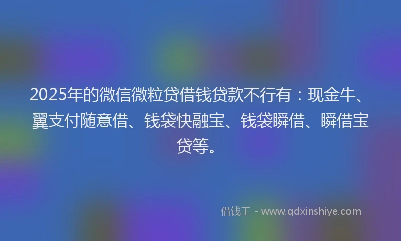 2025年的微信微粒贷借钱贷款不行有：现金牛、翼支付随意借、钱袋快融宝、钱袋瞬借、瞬借宝贷等。