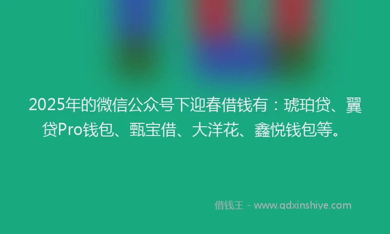 2025年的微信公众号下迎春借钱有：琥珀贷、翼贷Pro钱包、甄宝借、大洋花、鑫悦钱包等。