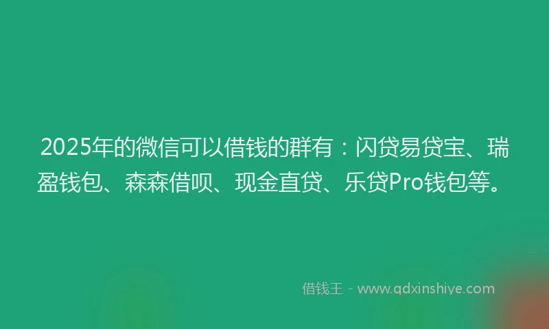 2025年的微信可以借钱的群有：闪贷易贷宝、瑞盈钱包、森森借呗、现金直贷、乐贷Pro钱包等。