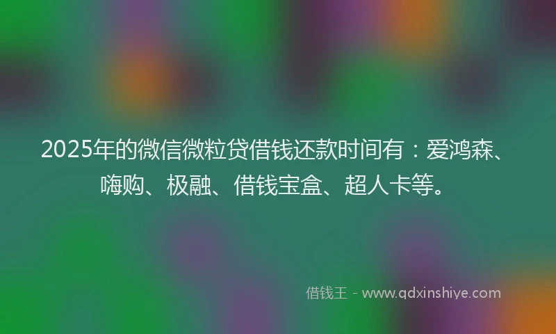 2025年的微信微粒贷借钱还款时间有：爱鸿森、嗨购、极融、借钱宝盒、超人卡等。