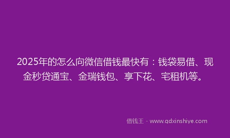 2025年的怎么向微信借钱最快有：钱袋易借、现金秒贷通宝、金瑞钱包、享下花、宅租机等。